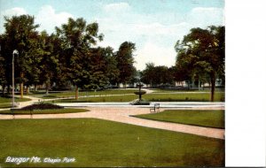 Maine Bangor View In Chapin Park