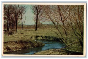 1944 Drab Pastures, Faintest Green, Willows Door County Wisconsin WI Postcard