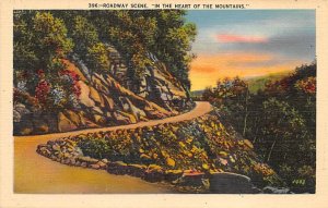 Roadway Scene In The Heart of Mountains View Postcard Backing 