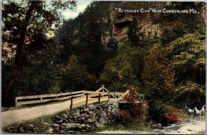 Postcard MD Cumberland Reynolds Gap bridge horse carriage