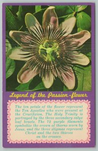 Florida~Legend of the Passion Flower~Standard Chrome Postcard