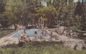 California Cobb Lake County Pine Grove Resort Swimming Pool Handcolored Alber...