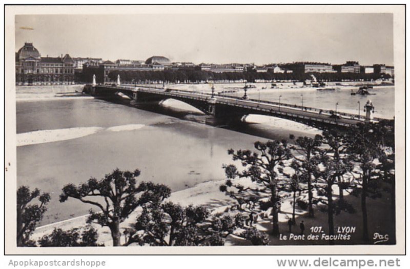 France Lyon Le Pont des Facultes Photo