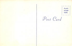 Postal Markings Advertising Unused 