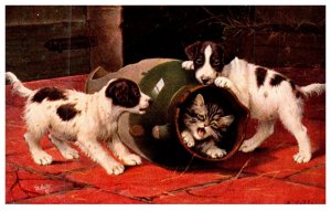 Dog , puppies rolling barrel cat inside