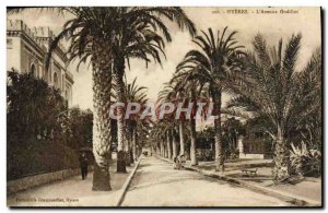 Old Postcard Hyeres L & # 39Avenue Godillot