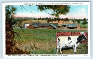 2 Postcards of WOODMEN, CO Colorado DAIRY BARNS, Birdseye, CHAMPION COW  c1920s