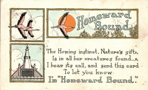 Vintage Postcard 1910's Homeward Bound Building Birds Flying Home Instinct