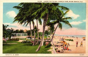Florida Miami Beach Lummus Park Relaxing Uner The Palms Curteich