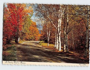 Postcard A Country Road in Autumn, Presqu'ile Provincial Park, Brighton, Canada