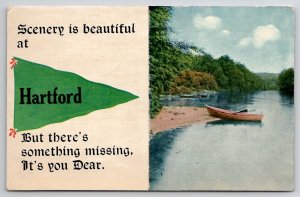 Hartford MI Landscape Pennant Davidson Family Long Pine Nebraska Postcard A37