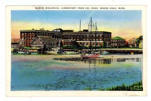MA - Woods Hole, Cape Cod. Marine Biological Laboratory Across Eel Pond