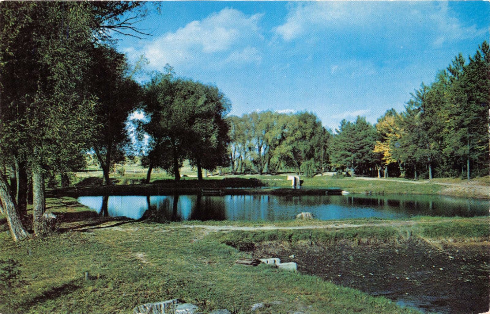 Woodruff Wisconsin Fish Hatchery Postcard 1955 United States