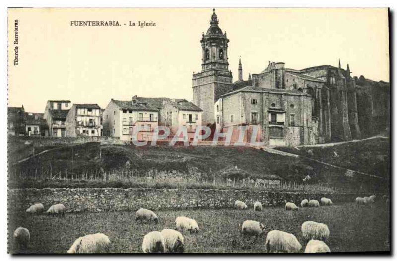 Old Postcard Fuenterrabia La Iglesia Sheep