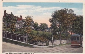 View On Walnut Avenue Syracuse New York 1918