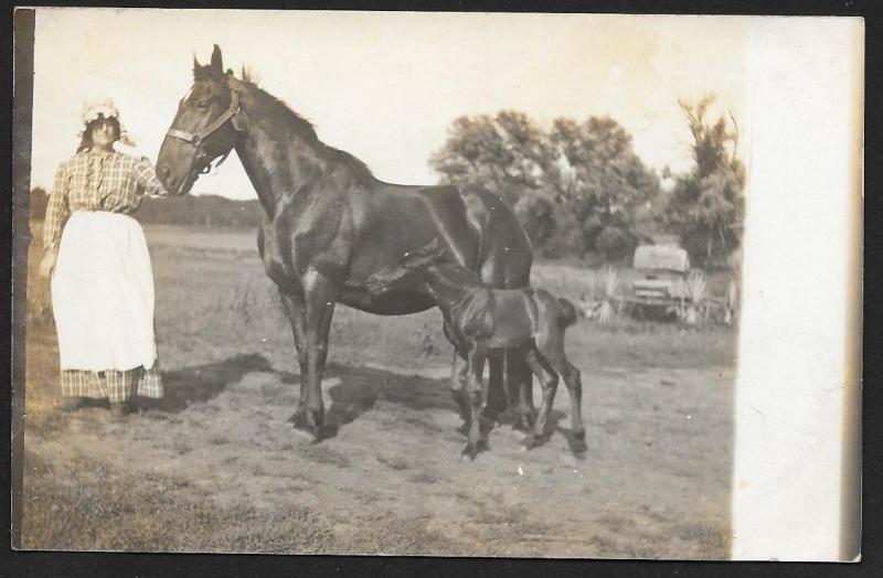 Farm Woman, Mother Horse & Foal RPPC Unused c1910s