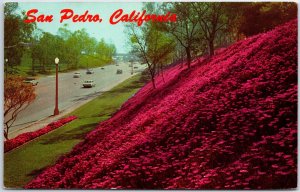 VINTAGE POSTCARD TRAVERSING A PORTION OF LEYLAND PARK SAN PEDRO CALIFORNIA 1960s