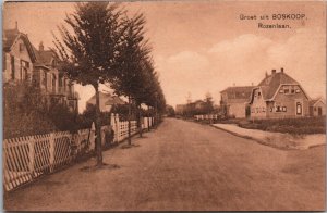 Netherlands Groet uit Boskoop Rozenlaan Vintage Postcard 04.10