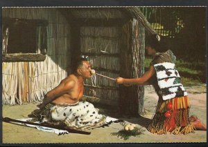 New Zealand Postcard - Feeding The Tohunga  LC4161