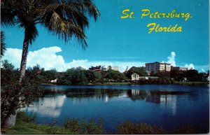 Vtg 1960s St Petersburg Mirror Lake Florida FL Postcard