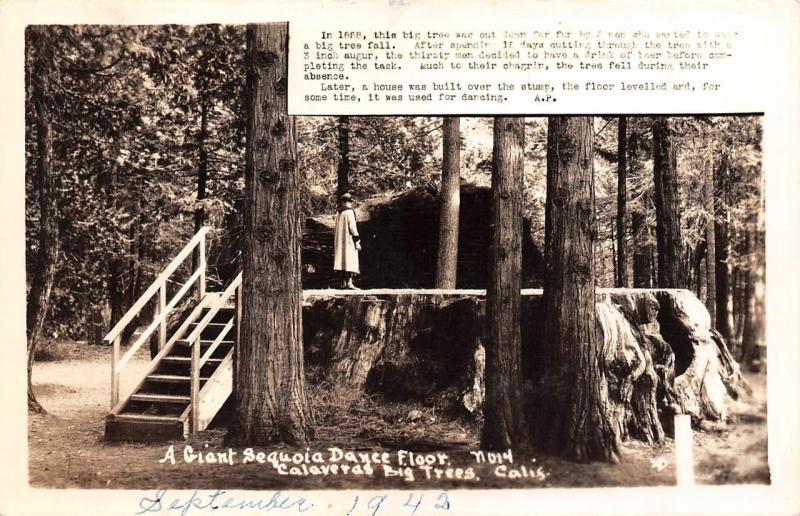 RPPC, CA California  GIANT SEQUOIA DANCE FLOOR~Calaveras Big Trees 1942 Postcard