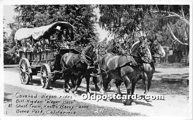 Covered Wagon Rides, Bill Higdon Wagon Boss Knott's Berry Farm, Buena Park, C...