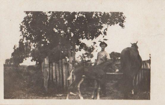 Arrogant Farmer Mitchell The Foal Antique Real Photo Postcard