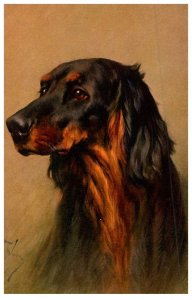 Dog ,   artist signed