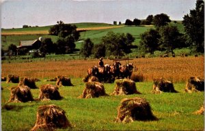 Ohio Holmes County Amish Wheat Harvest On An Amish Farm