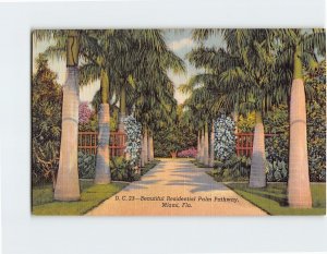 Postcard Beautiful Residential Palm Pathway Miami Florida USA