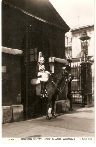 Mounted Sentry, Horse Guards, Whitehall..Horses Tuck Real Photograph Postcard