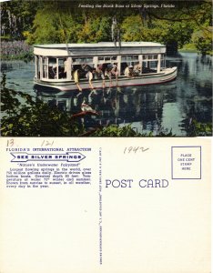 Feeding the Black Bass at Silver Springs, Florida (25317