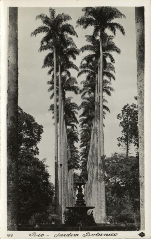 brazil, RIO DE JANEIRO, Jardim Botanico (1940s) RPPC (I)