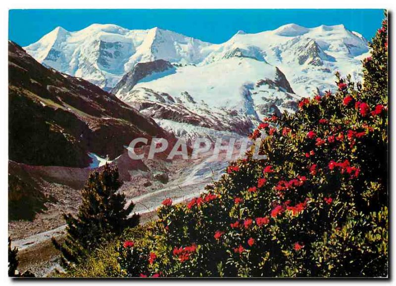 Postcard Modern Piz Palu und Bellavista