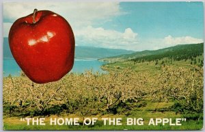 Home of the Big Apple Okanagan Valley BC British Columbia Canada Postcard H64