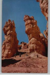 Postcard-Up Navajo Trail..Bryce Canyon Park,Utah/UT