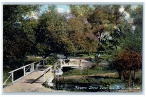 c1910 Small Bridge Meadow Brook Park San Bernardino California CA Postcard 