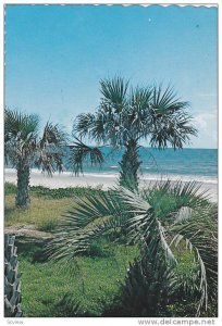 Scenic Greetings from Myrtle Beach,  South Carolina,  PU_1956