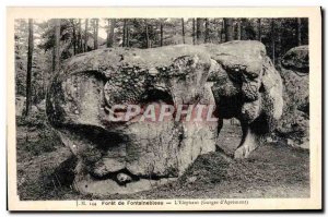 Old Postcard Foret De Fontainebleau L & # 39Elephant Elephant
