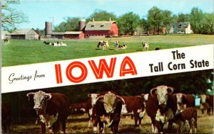 Greetings From Iowa The Tall Corn State Multi View