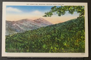 Hawk's Bill Mountain, Western North Carolina