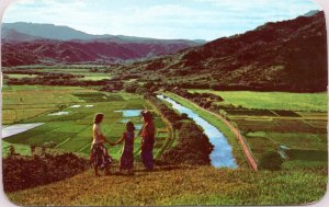 Postcard HI Kauai - People looking out over Hanalei Valley