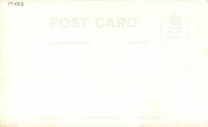 Postcard RPPC California Newport Beach Sea Gulls Newport 1940s 23-3618
