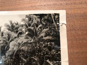 1940s RPPC Papeete Tahiti Street Scene Nature Photos Lot of 2