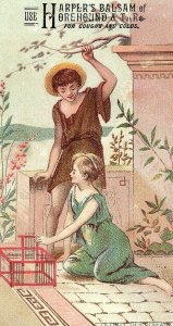 1870's Harper's Balsam of Horehound & Tar Quack Med Victorian Trade Card *L