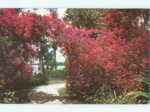 Pre-1980 CYPRESS GARDENS Winter Haven - Near Lakeland & Lake Wales FL AF5951