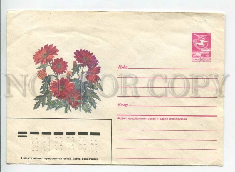 447521 USSR 1987 Barysheva Flowers chrysanthemum small-flowered postal COVER