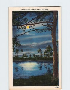 Postcard Southern Moonlight Amid The Pines