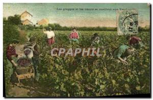Old Postcard Wine Harvest Clusters and hearts ceuillent the harvest
