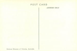 Australian Wildlife Art Postcard; Grey's Rat, Museum of Victoria, A/S Browning
